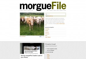 Morguefile.com free stock photos