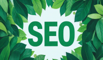 公司网站SEO：提升网站流量与品牌形象的秘密武器
